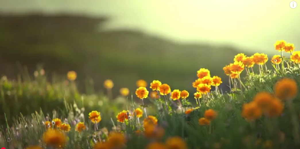 Financial Technology Innovation